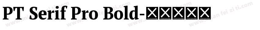 PT Serif Pro Bold字体转换